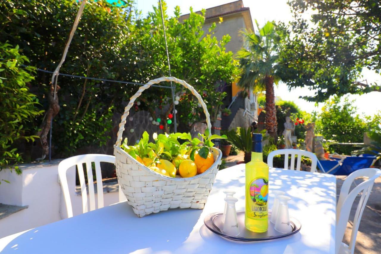La Rosa Del Sud - De Vivo Realty Sorrento Appartement Buitenkant foto