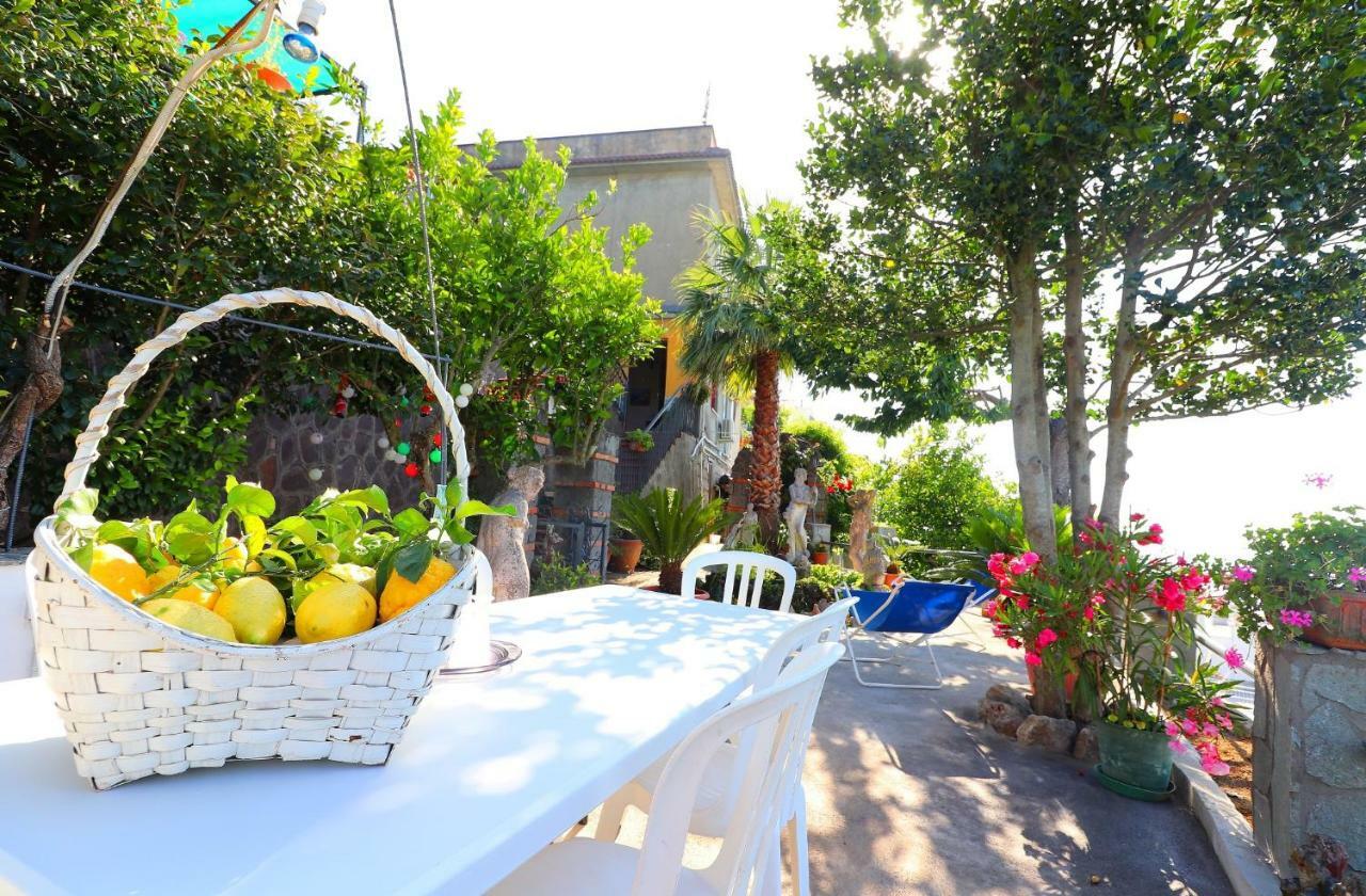 La Rosa Del Sud - De Vivo Realty Sorrento Appartement Buitenkant foto
