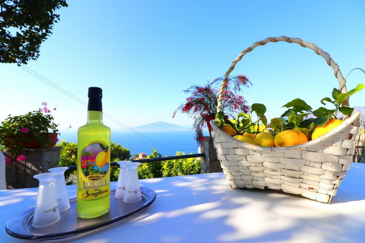 La Rosa Del Sud - De Vivo Realty Sorrento Appartement Buitenkant foto